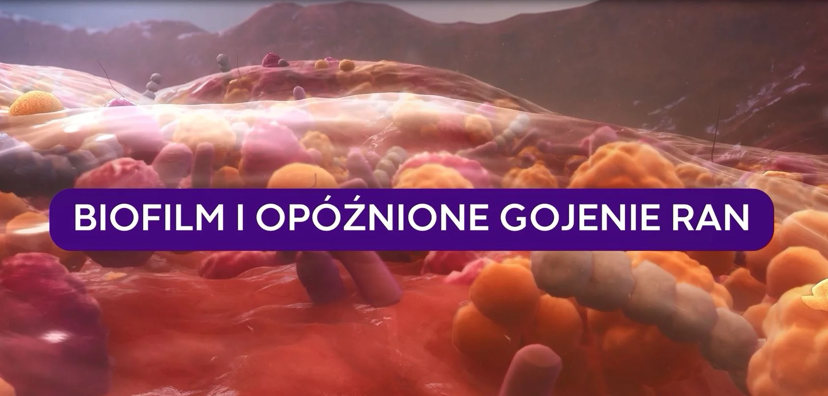 zbliżenie na jedzenie